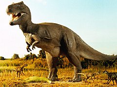 Prehistoric Times
